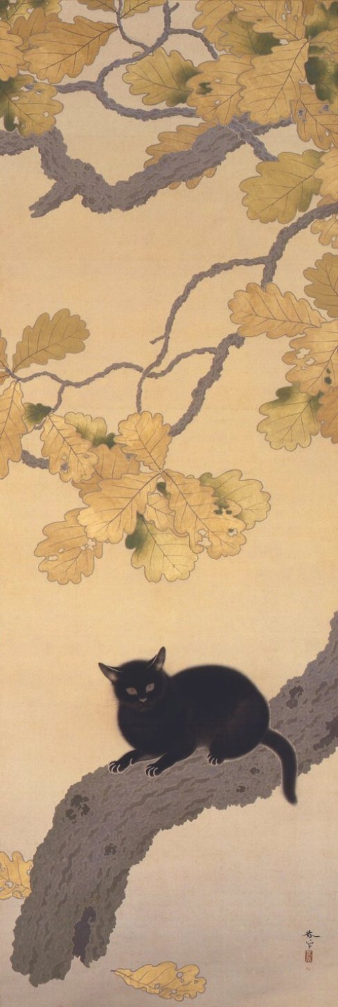 菱田春草《黒き猫》(1910年、絹本着色、掛幅)